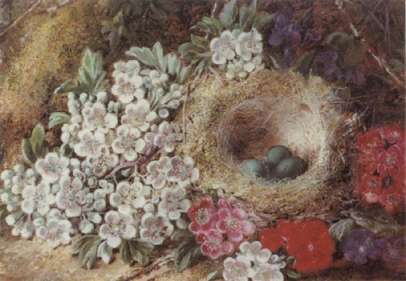 Clare George Bird-s Nest Still Life